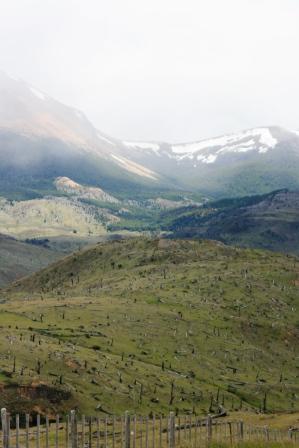 Reste frherer Brandrodungen